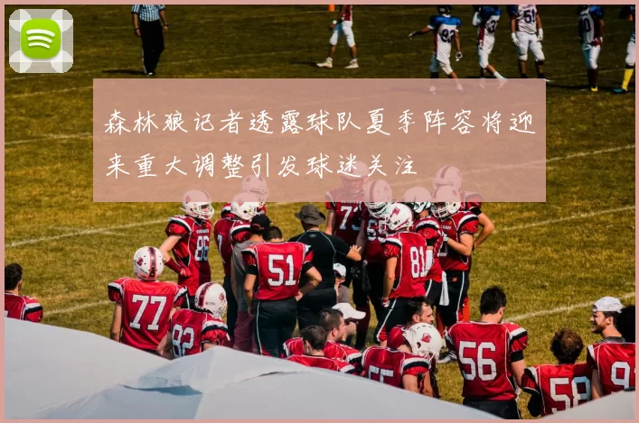 森林狼记者透露球队夏季阵容将迎来重大调整引发球迷关注