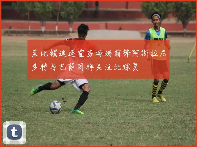 莱比锡追逐霍芬海姆前锋阿斯拉尼多特与巴萨同样关注此球员